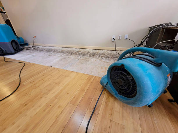 Reliable Basement Flood Cleanup contractor in Stockdale, TX by Hirex Water Damage