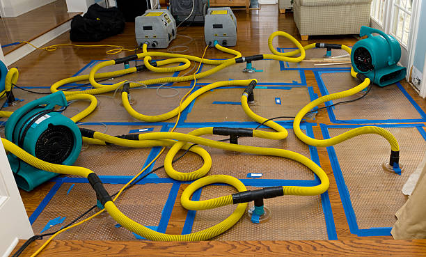 Professional Basement Flood Cleanup technician working in Stockdale, TX